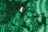 Flowery Polished Malachite Slab - D R Congo #379706-1
